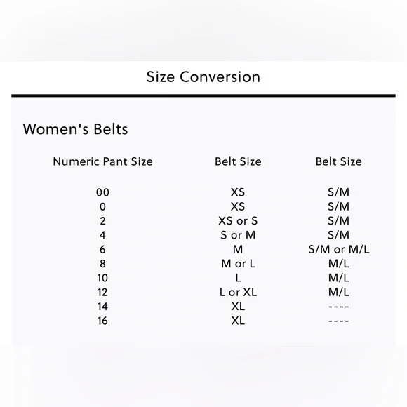 J. Crew Gold Watchband chain belt - Picture 4 of 8